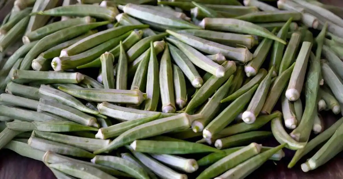 Okra Companion Plants